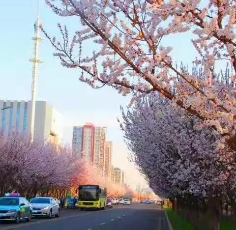 网红路上       风景这边独好