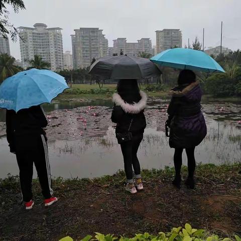 美兰区人民街道新利社区海甸五西路东段水体、白沙湖巡查日记