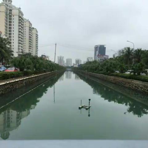 美兰区人民街道新利社区海甸五西路东段排洪沟、白沙湖巡查日记