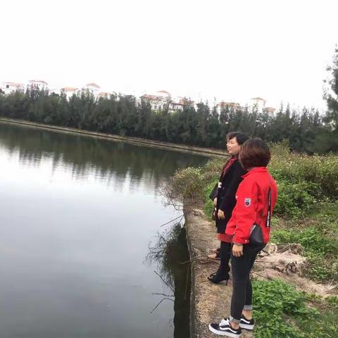 美兰区人民街道新利社区海甸五西路东段水体、白沙湖巡查日记