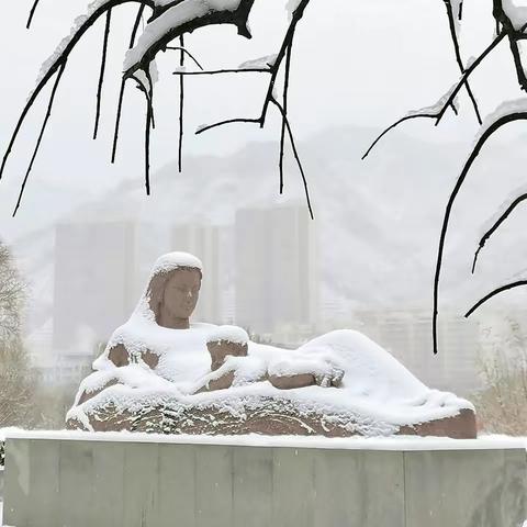 游 子的视觉语言的美篇