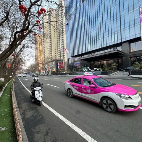 游 子的视觉语言的美篇