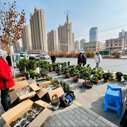 游 子的视觉语言的美篇