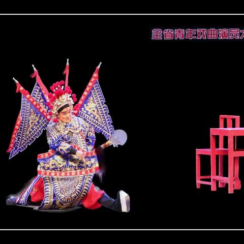 2017 浙江省青年戏曲演员大赛