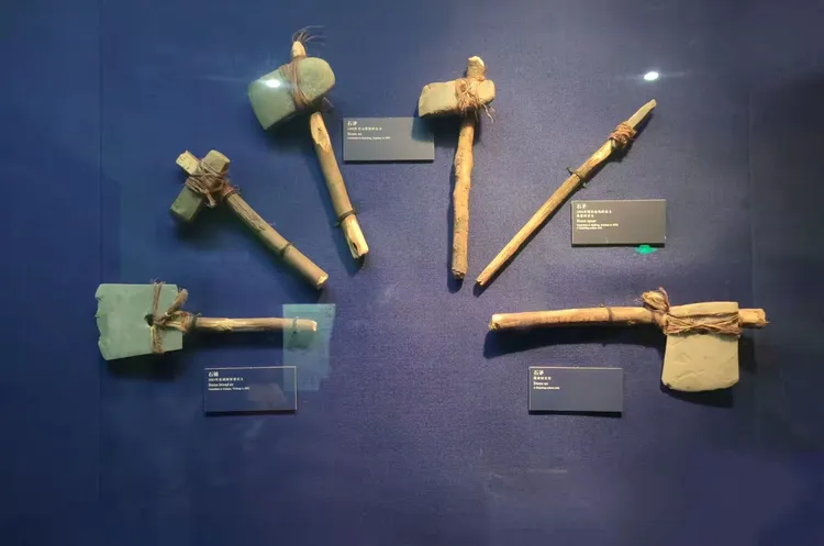 湖北省博物馆·屈家岭文化