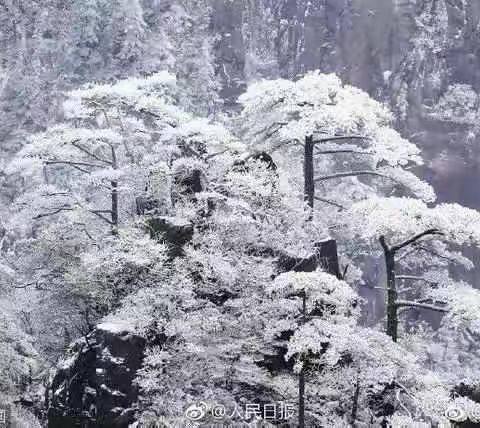 黄山雪景