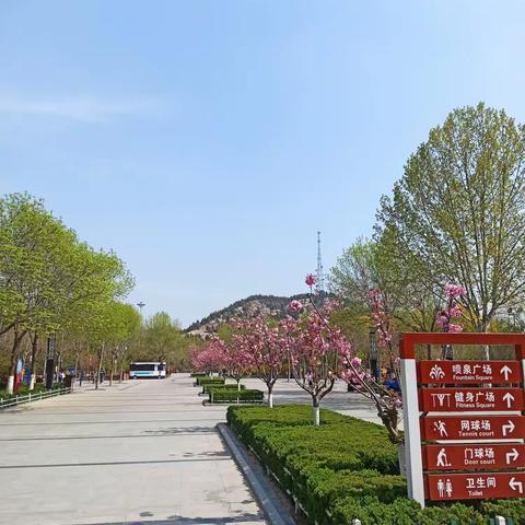 凤凰公园四月春