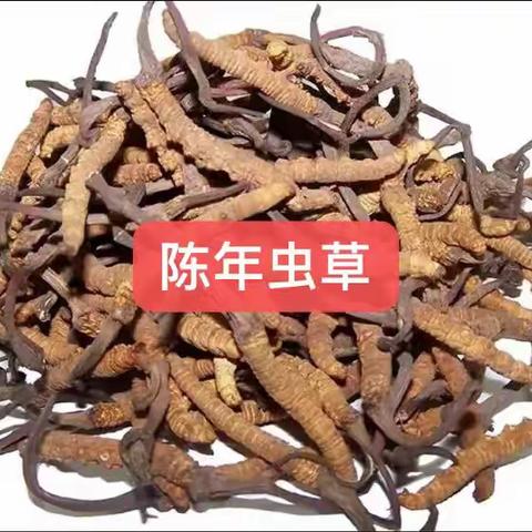 【科普帖】虫草“十不买”（五）