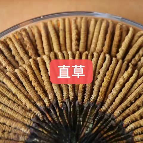 【科普帖】虫草“十不买”（六）