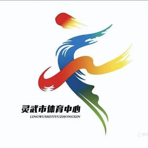 灵武市足球参加2021年全区青少年足球锦标赛获奖情况