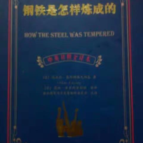 《钢铁是怎样炼成的》