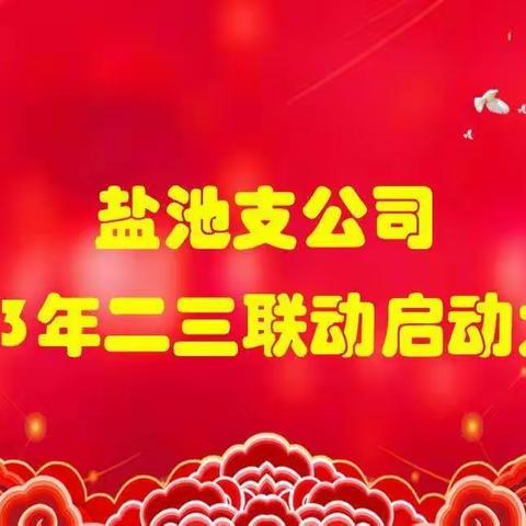 中国人寿盐池支公司二三联动业务启动大会