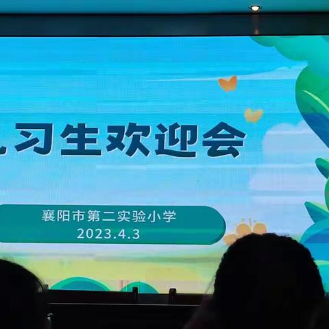 襄阳市第二实验小学见习报告