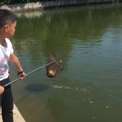 珍惜和保护水资源，还我们一个绿树成荫。鸟语花香、河水清清。鱼儿欢畅的美好生活环境吧!节约用水,人人