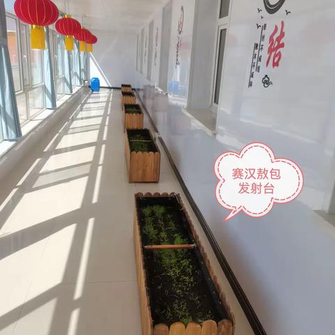 用心种希望