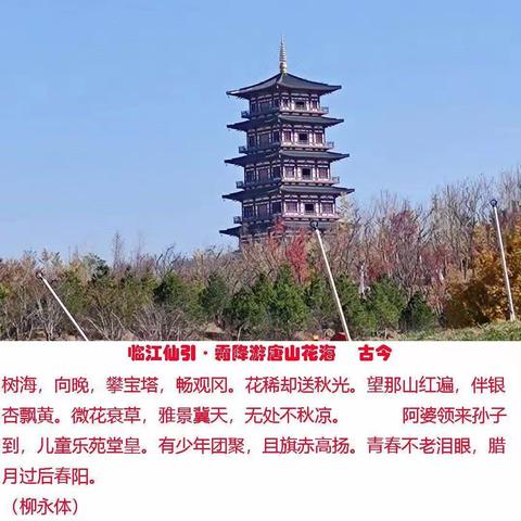临江仙引•霜降游唐山花海   古今