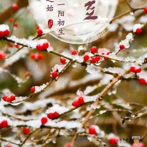 朋来阁诗社《冬至友声》