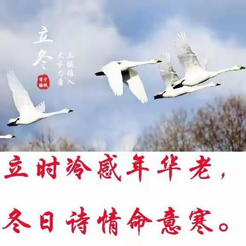 朋来阁诗社《立冬友声》