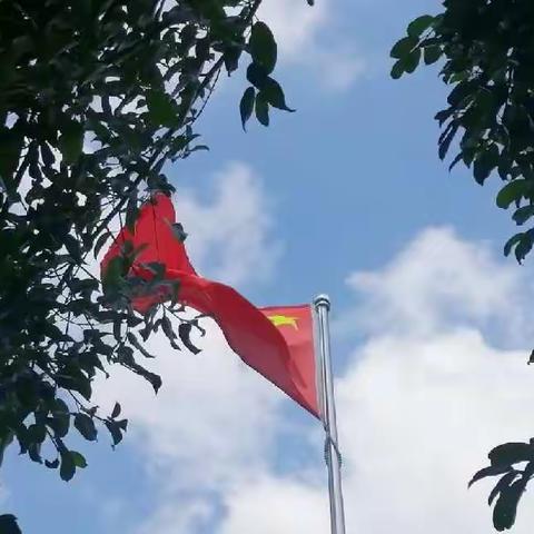 学习二十大  河西青年说