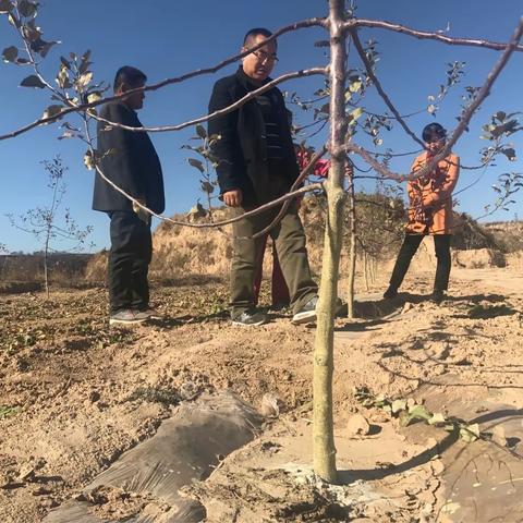 川口乡【优势在山坡 致富靠苹果】产业宣传