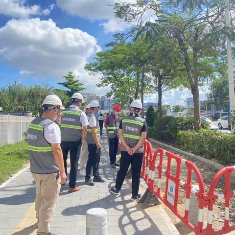 龙岗2标养护工作周报（2022年6月18日—6月24日）