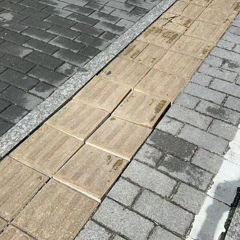 龙岗交通运输局行走检查龙岗2标道路设施