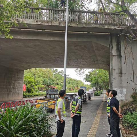 龙岗2标养护工作周报（2022年6月4日—6月10日）