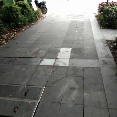 龙岗交通运输局行走检查龙岗2标道路设施