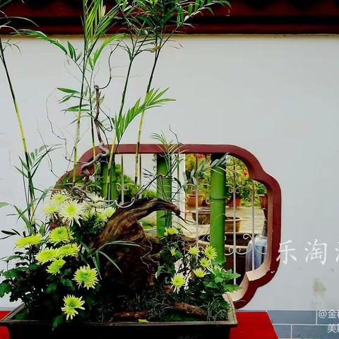今又重阳 战地黄花分外香