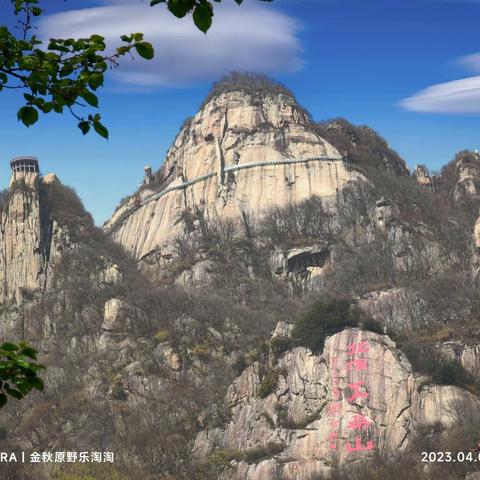 直冲云霄五朵山(南召)一枝独秀