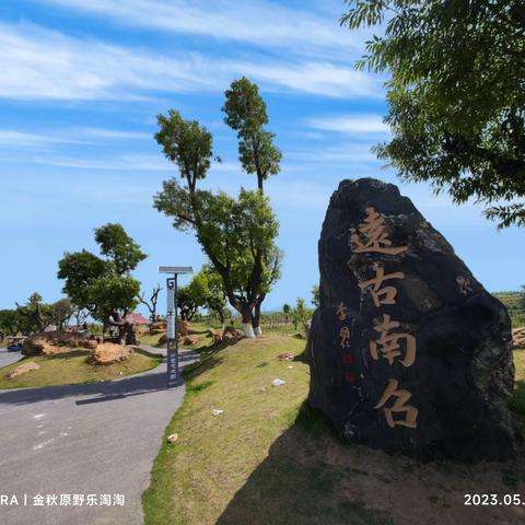 南召国储林景区繁花似锦 车水马龙 一枝独秀
