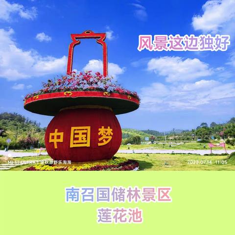 风景这边独好：南召国储林莲花池点滴录，(徒手手机拍摄)