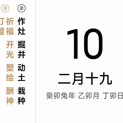 今日 农历“兔年兔月兔日兔时” 一枝独秀