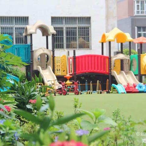 启多思幼儿园中一班第九周教育教学活动