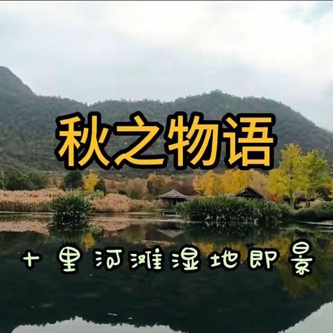 十里河滩湿地公园 十一月即景