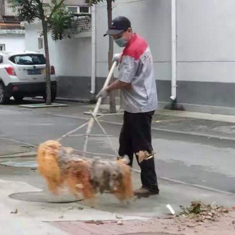 【潘苑社区】环境卫生整治  助力文明城市创建