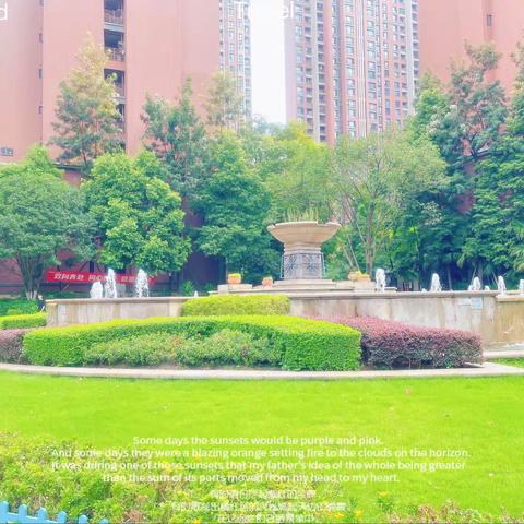 二十四城一期物业8月份月报