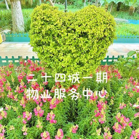 二十四城一期物业11月月报