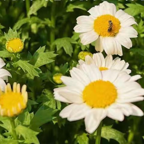 2022年二十四城一期物业第一季度服务工作回顾