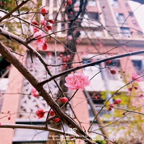 二十四城一期物业2月月报