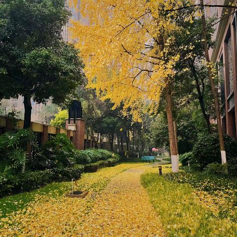 二十四城一期物业12月月报