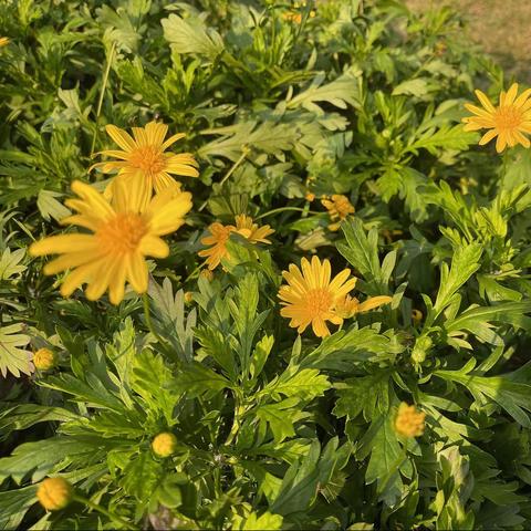 二十四城一期物业10月月报