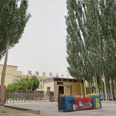“大美校园-美丽五小”