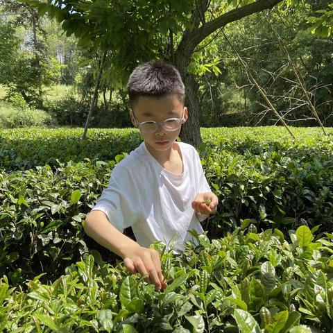 英山县实验小学庆“五一”劳动节2(13)班吴子谦
