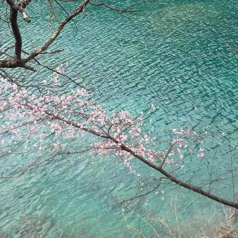 四川之旅