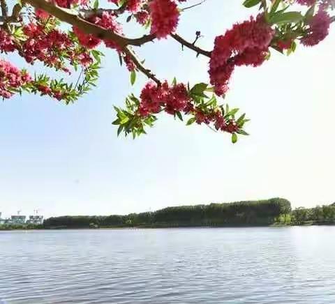 信心满怀，我们整装待发——初三年级备课组视频集备