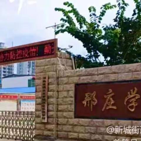 践行抗疫使命，谱写胜利华章——记临颍县新城街道邢庄小学教师杨亚辉