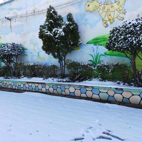 ⛄贝佳幼儿园2018年12月学前二班⛄    蓦然回首2019悄然而至      孩子们的回眸一笑，         格外珍贵！👑