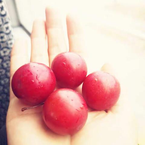 凡事爱犹不及，喜欢就刚刚好