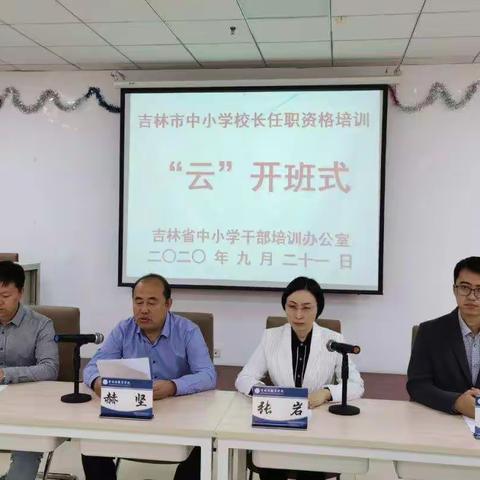 集中充电，雏菊绽放